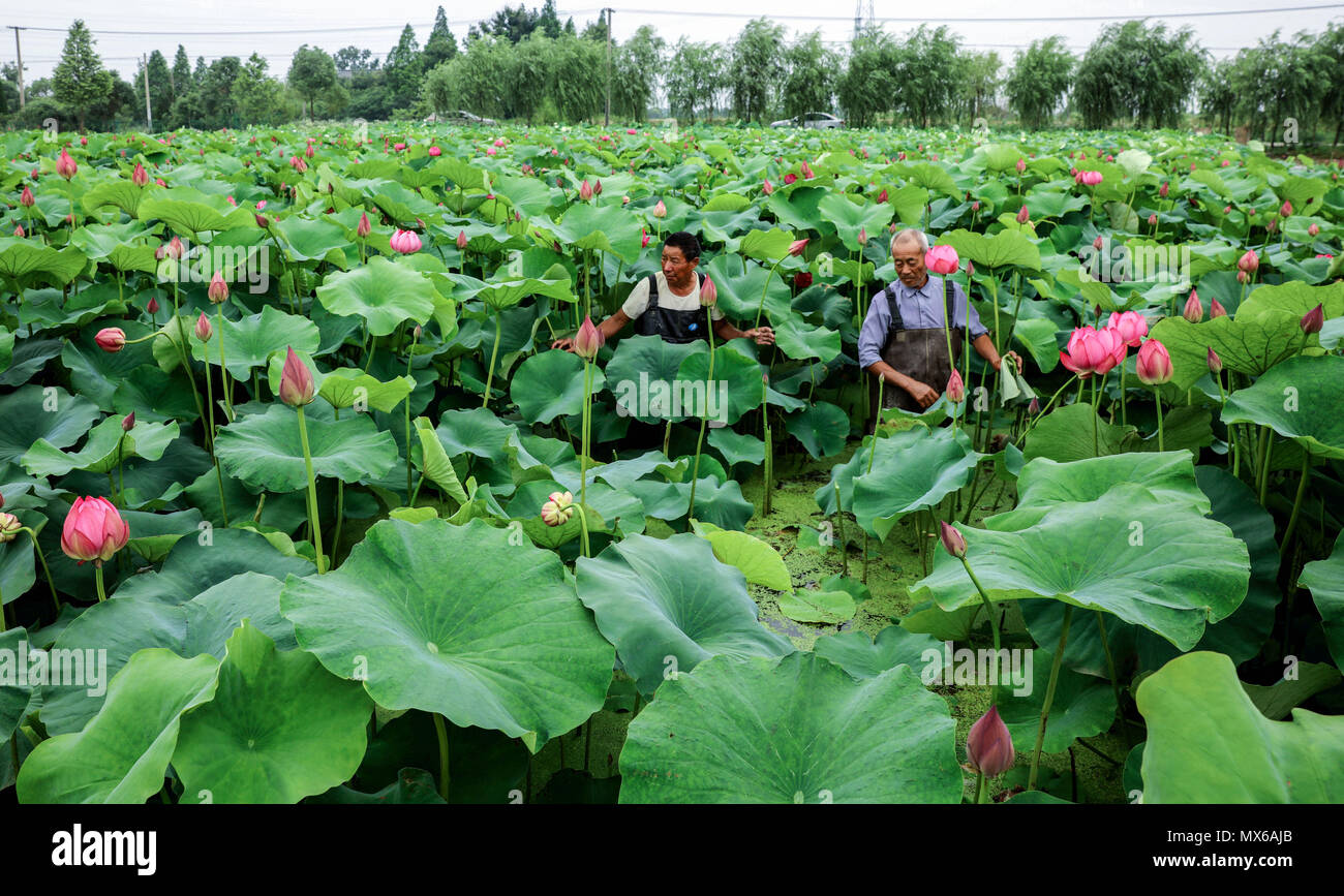 Changxing Province De Zhejiang En Chine 3 Juin 2018