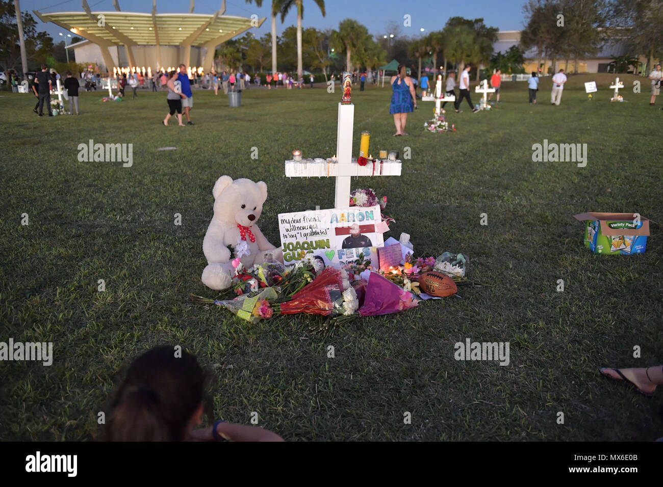 Parc, FL - 16 février : une jeune femme met des fleurs sur un mémorial qui honore les victimes de la prise de masse à l'école secondaire Marjory Stoneman Douglas, à Pine Trail Park le 16 février 2018 dans un parc, en Floride. La police a arrêté 19 ans, ancien élève Nikolas Cruz pour avoir tué 17 personnes à l'école secondaire. Personnes : Atmosphère Banque D'Images