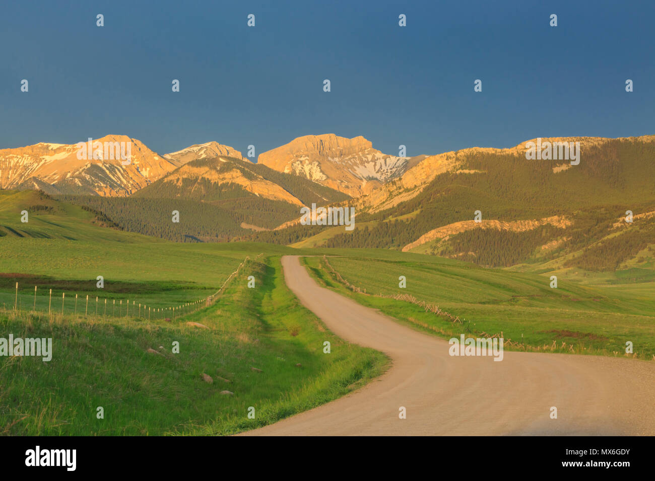 La lumière du matin sur route de montagne le long de la couronne la rocky mountain/près de augusta, Montana Banque D'Images