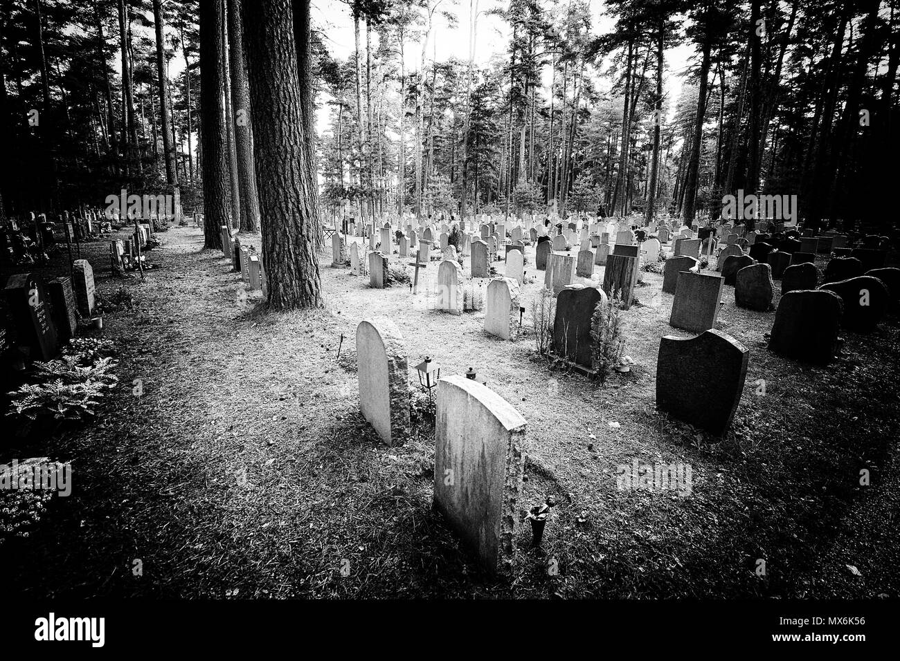 Vieux Cimetiere En Noir Et Blanc Avec Impression Du Film Noir Photo Stock Alamy