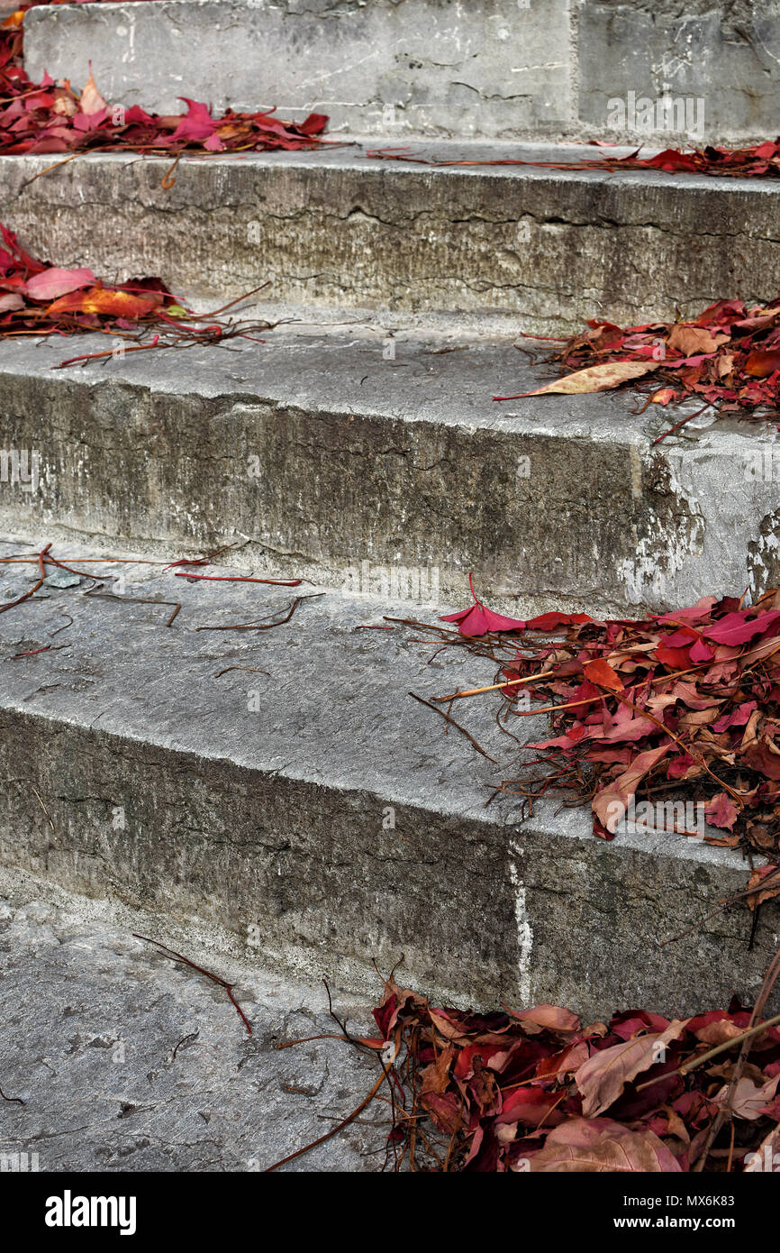 Feuilles rouges sur de vieilles marches de pierre, profondeur de champ. Banque D'Images