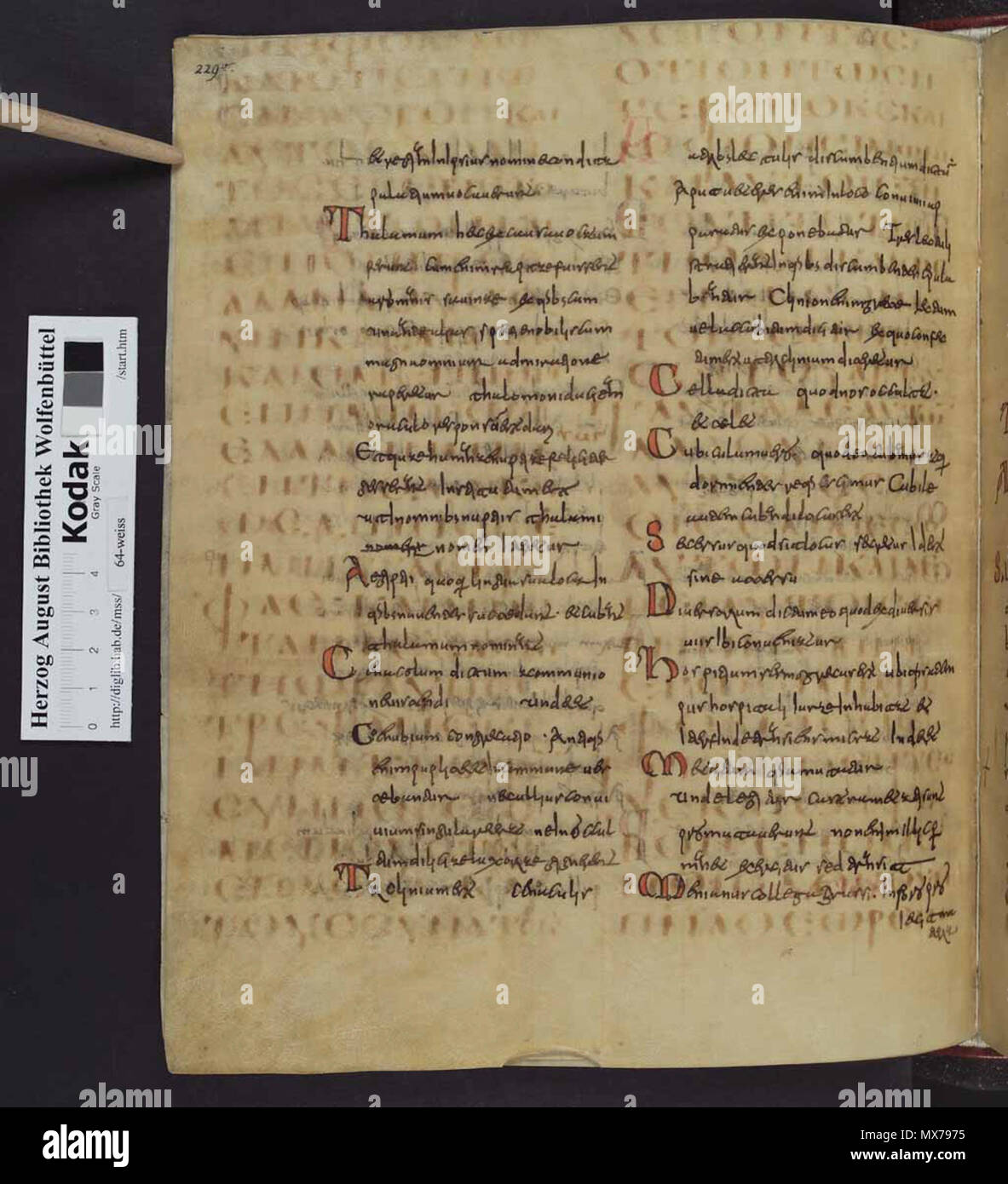 . Anglais : UN Codex Guelferbytanus, un palipmsest, le texte est inférieur à partir du 6ème siècle, le texte est supérieur à partir du 10ème ou 11ème siècle . 6ème siècle. Codex Guelferbytanus B Inconnu 136 00474 Banque D'Images