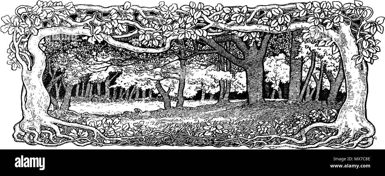 . Anglais : une forêt sauvage, tirer en danois "kønvirke' style (danois mouvement Arts & Crafts similaire à 'art nouveau'). 1898 anonymus 153 Dansk skov. Banque D'Images