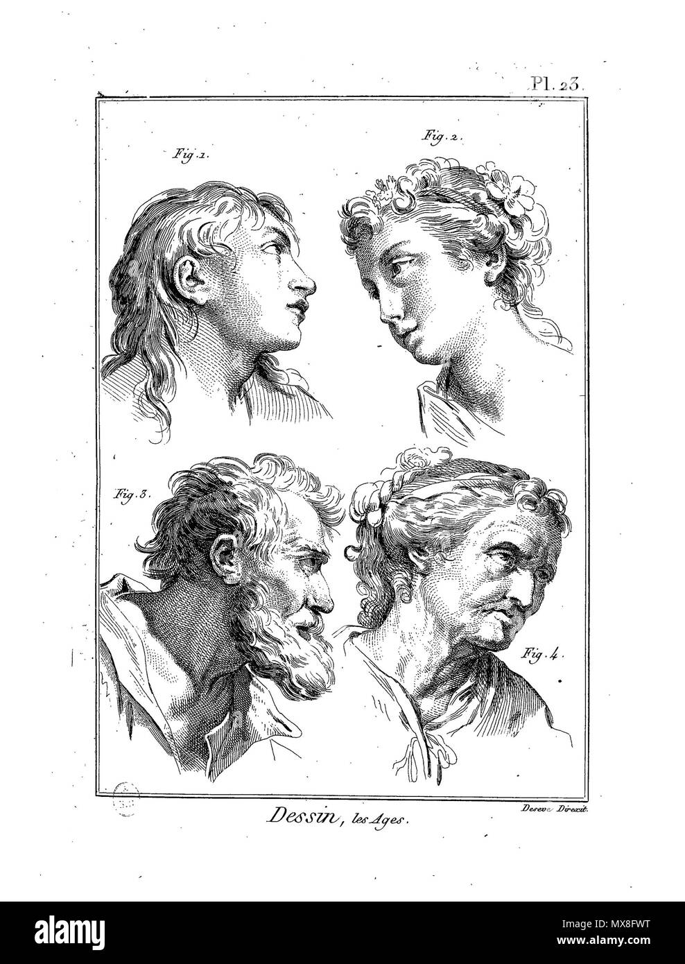 . English : Planche . 24 février 2016. 188Meth-BxArts-Pl Panckoucke Enc-im26 Banque D'Images
