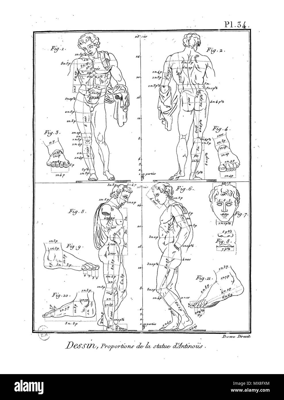. English : Planche . 23 février 2016. 188Meth-BxArts-Pl Panckoucke Enc-im37 Banque D'Images