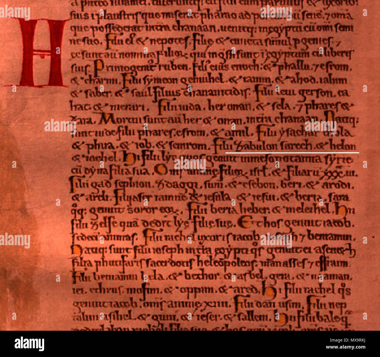 . Anglais : fragment du Codex Gigas (le Livre géant, ou Bible du diable) ; années 13ème siècle - environ 300 ans avant la King James Bible, Ancien Testament, Genèse 46:14 ; énumérer les enfants de Zabulon. 18 février 2013, 01:05:40. La Recluse Herman ? 244 Gigas gen 4614 Banque D'Images