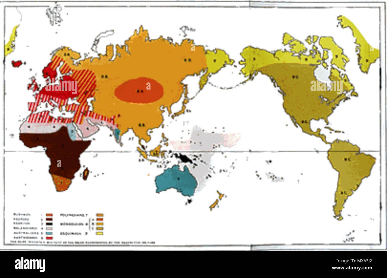 289 Huxleyraces Banque D'Images