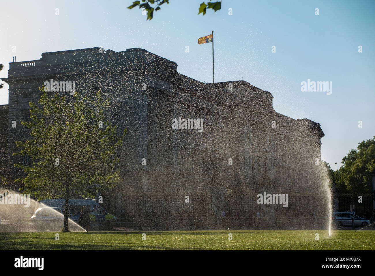 Aspersion d'eau sur la pelouse à l'extérieur de Buckingham Palace, sur une chaude journée d'été Banque D'Images