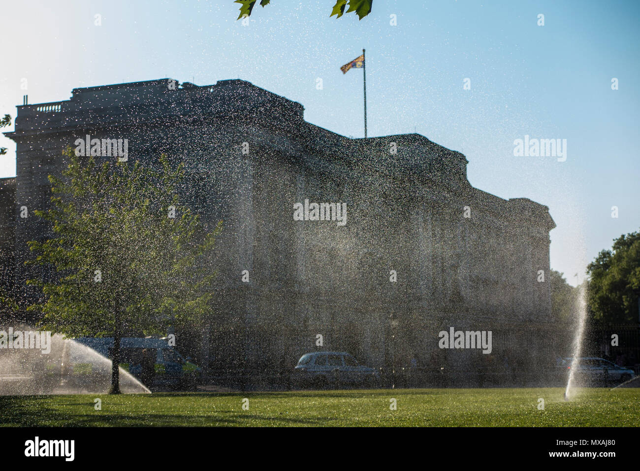 Aspersion d'eau sur la pelouse à l'extérieur de Buckingham Palace, sur une chaude journée d'été Banque D'Images