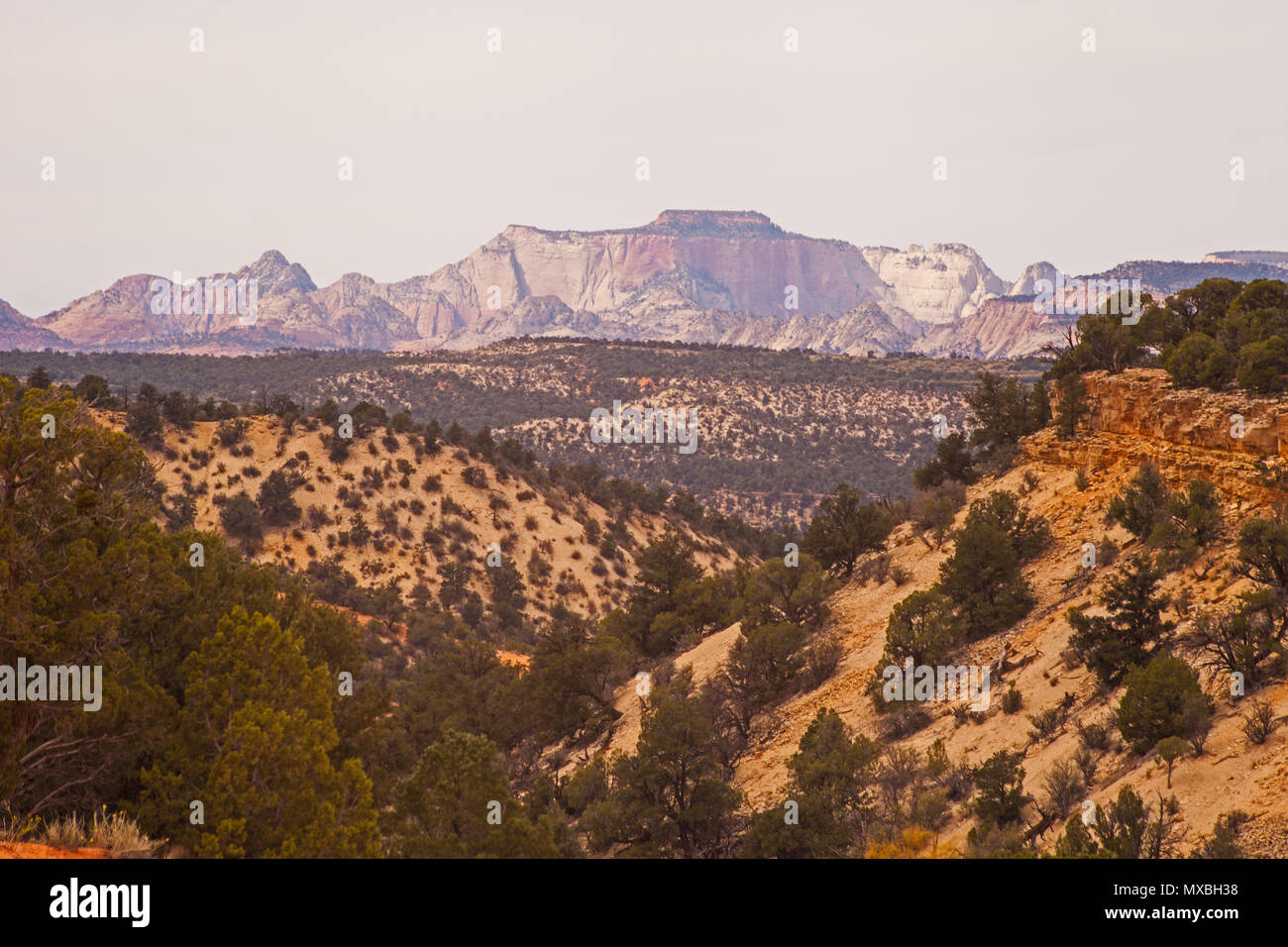 Grès Rose Corail Banque D'Images