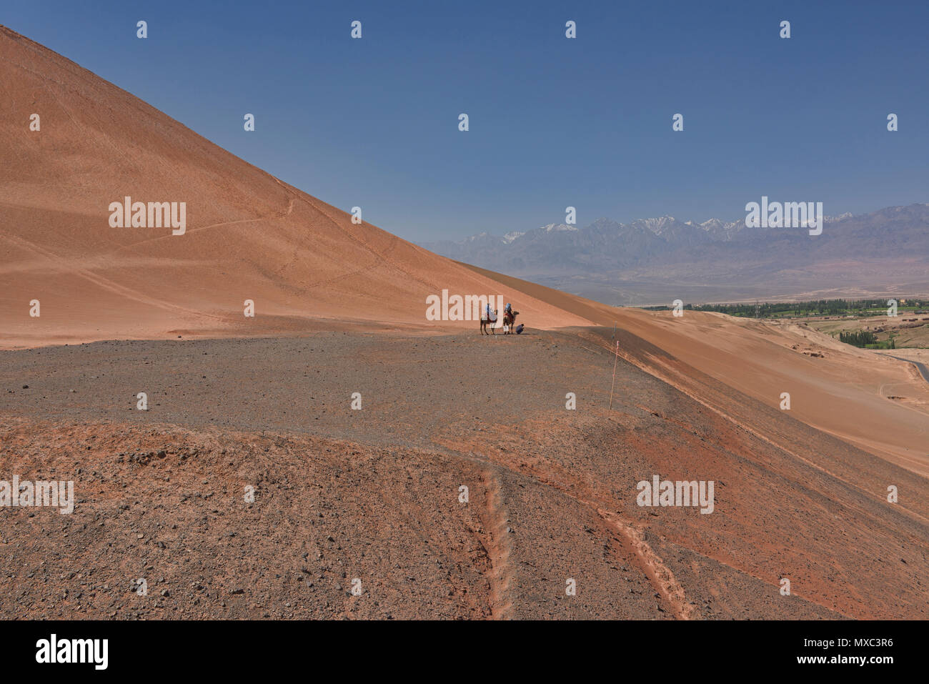 Camel riders en voyant le Tian Shan, Montagnes de Feu, Xinjiang, Chine Banque D'Images