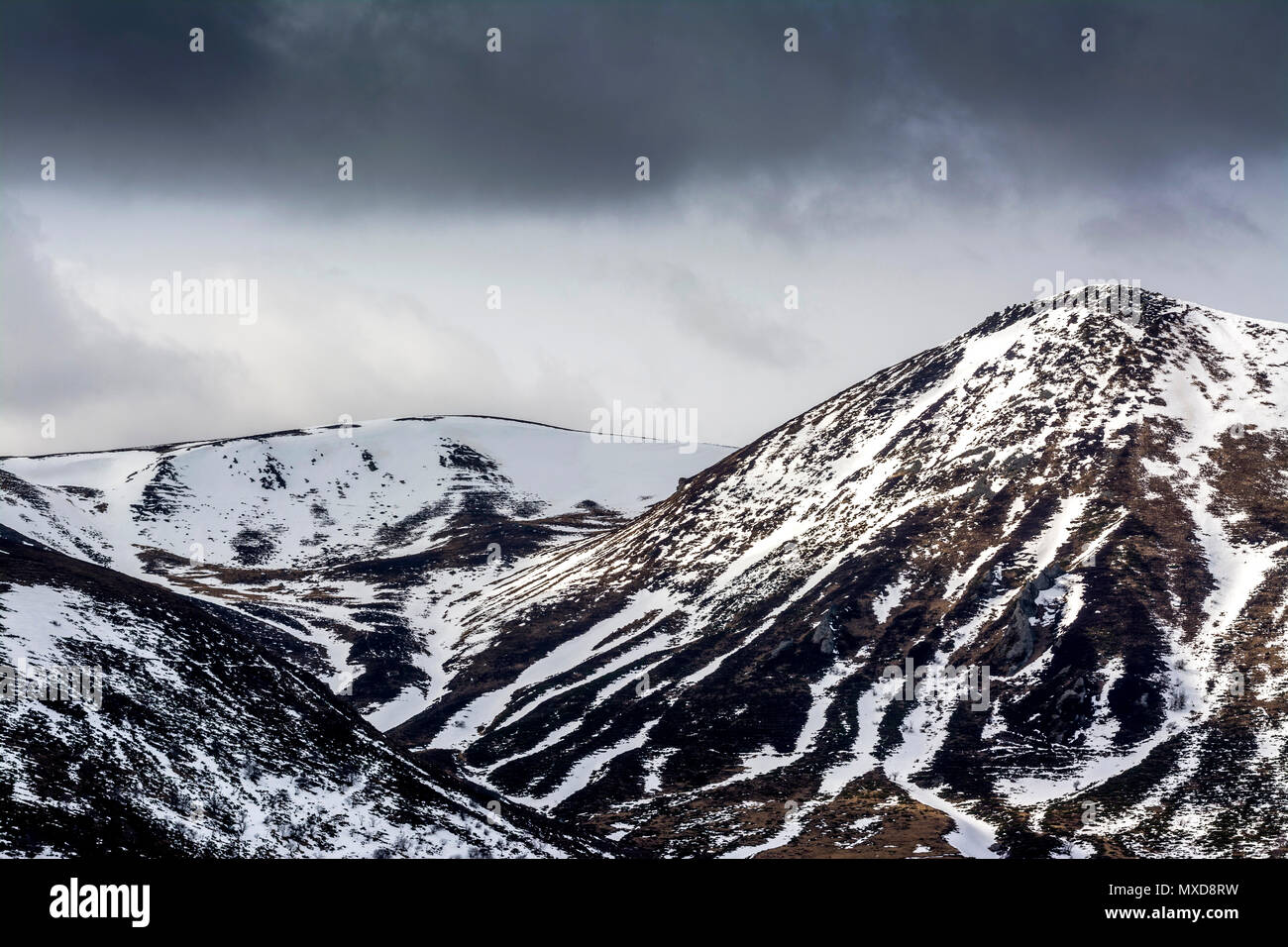 Les Monts Dore en hiver, massif de Sancy, Parc naturel régional des Volcans d'Auvergne, département du Puy de Dôme, Auvergne, France Banque D'Images