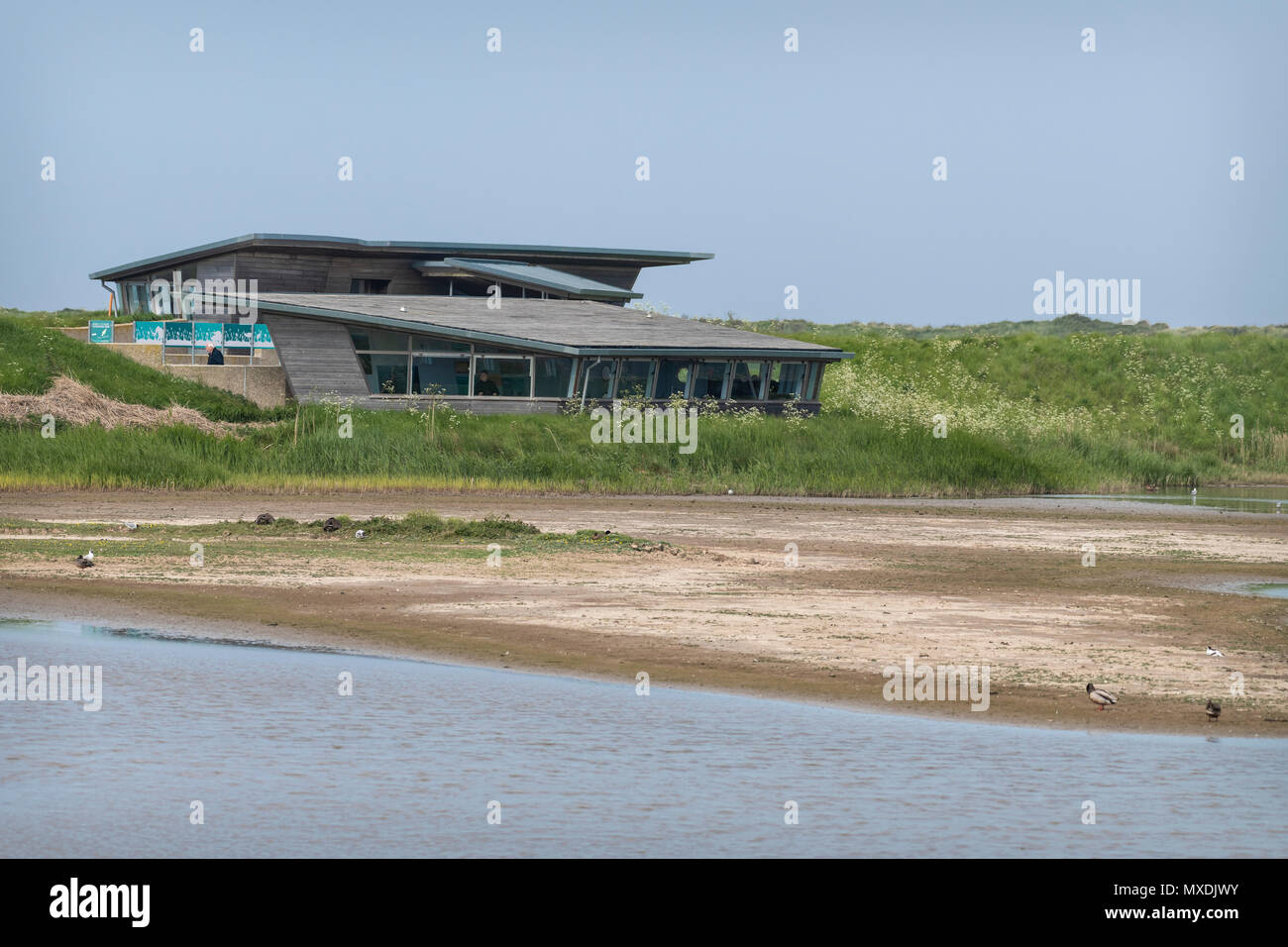 Parrinder cache Titchwell, Norfolk Banque D'Images