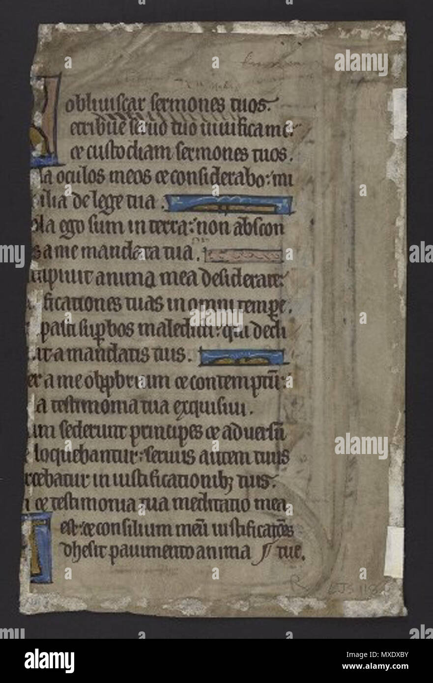 Anglais Titre Bible Ancien Testament Psaumes Le Latin Selections Psautier Fragment 1200 Description Physique 1 Piece 1 Feuilles Du Parchemin 160 X 105 Mm Resume Le