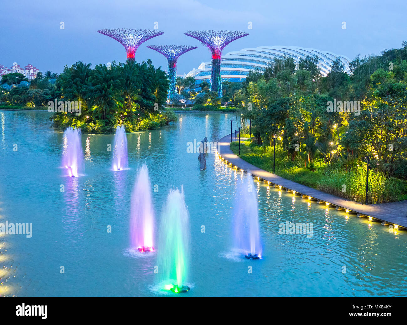 Vue spectaculaire sur les arbres artificiels de jardins par la baie de Singapour au crépuscule Banque D'Images