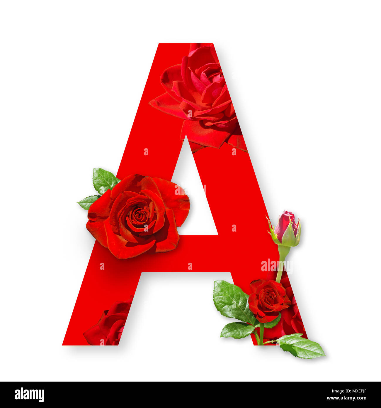 Une lettre avec des roses rouges sur fond blanc. Banque D'Images