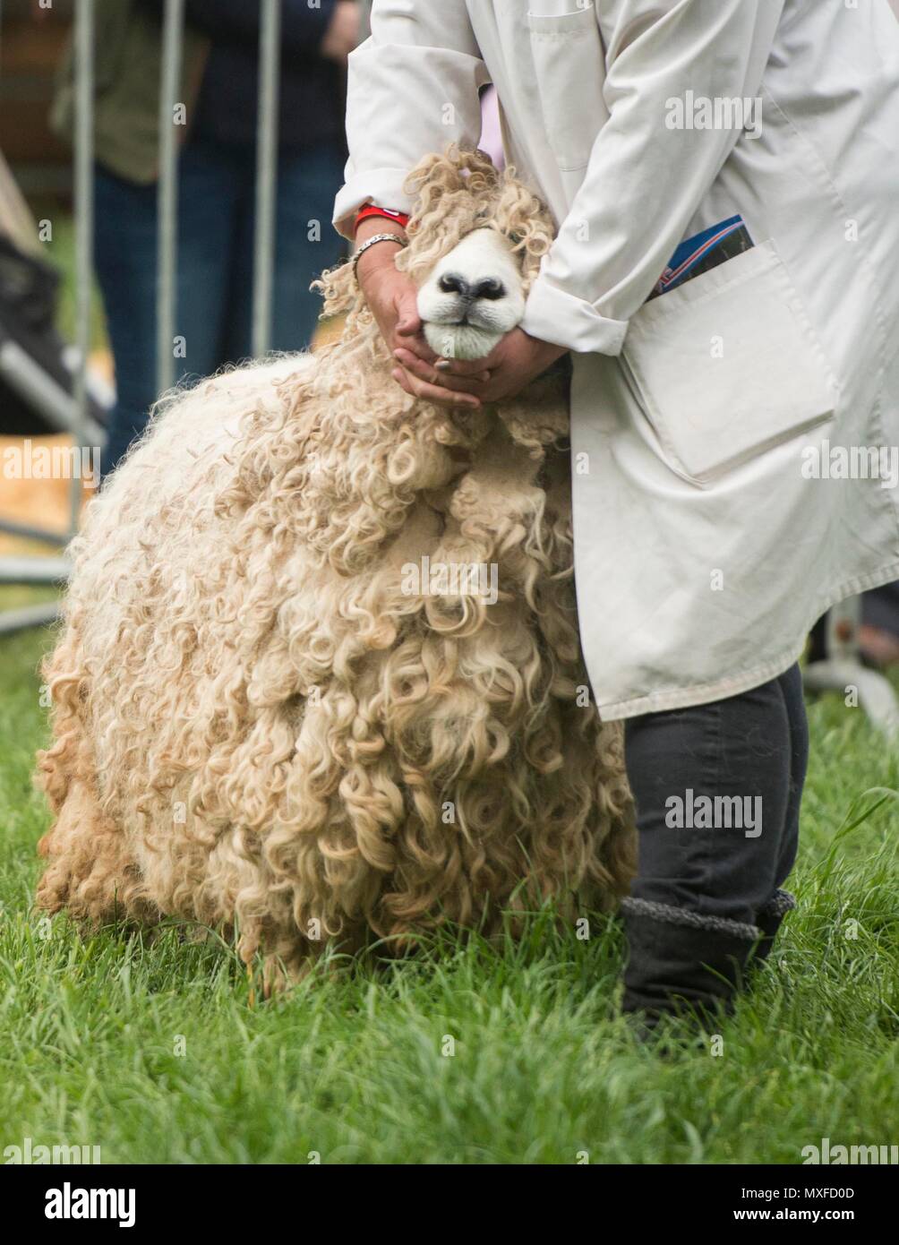 Baignoire et West Show Banque D'Images