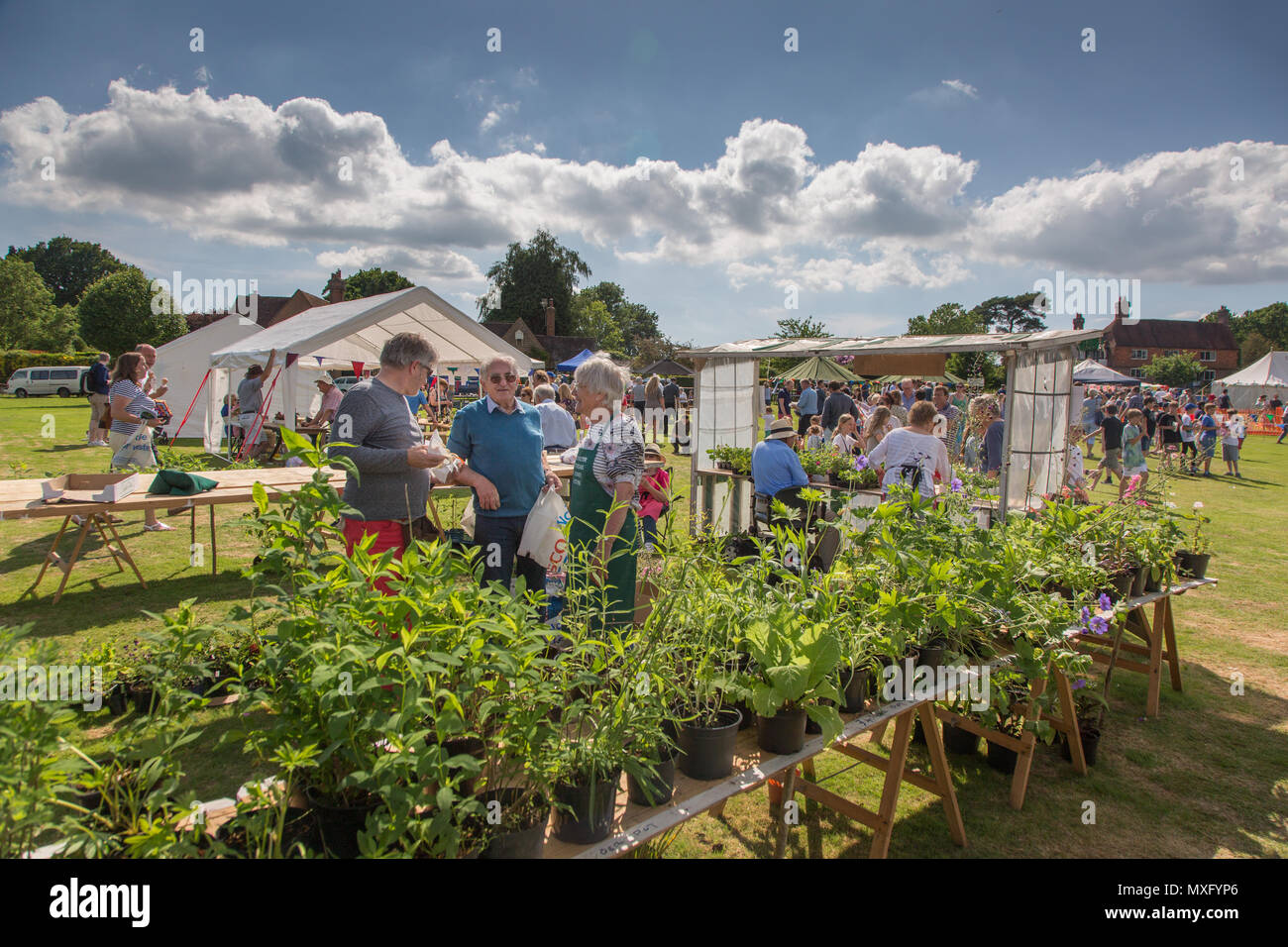 Fête du village anglais de Lurgashall Sussex. Fête traditionnelle avec des stands plateau tente , de la musique et des jeux. Banque D'Images