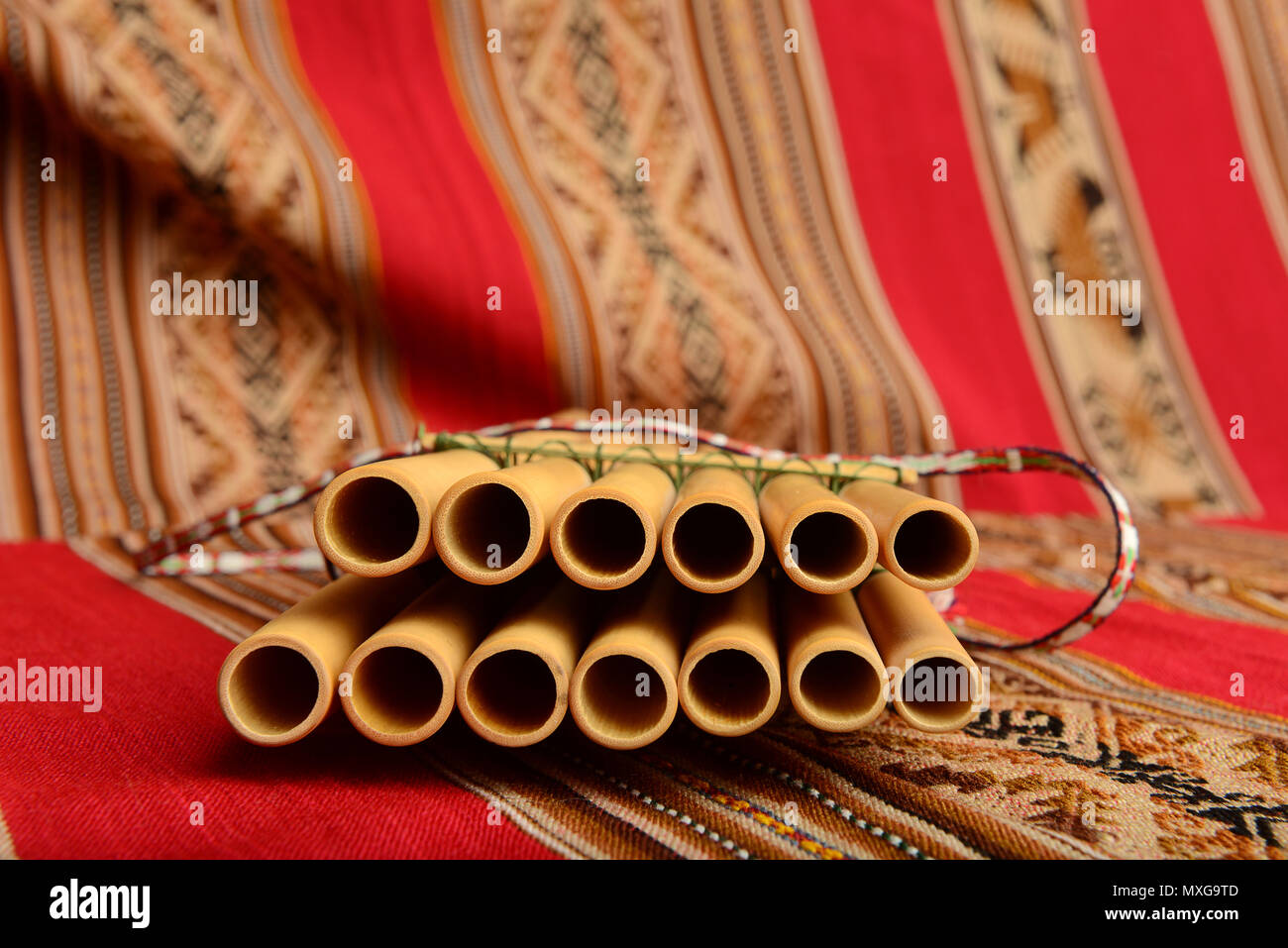 Pinpines de l'Amérique du Sud avec l'accent sur le haut Banque D'Images