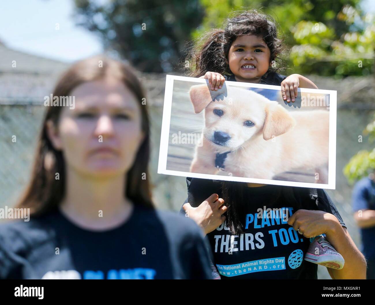 Los Angeles, USA. 3 juin, 2018. Recueillir des militants des droits de l'animal et de réciter la déclaration des droits de l'animal pour marquer la Journée nationale des droits des animaux à Los Angeles, aux États-Unis, le 3 juin 2018. Credit : Zhao Hanrong/Xinhua/Alamy Live News Banque D'Images