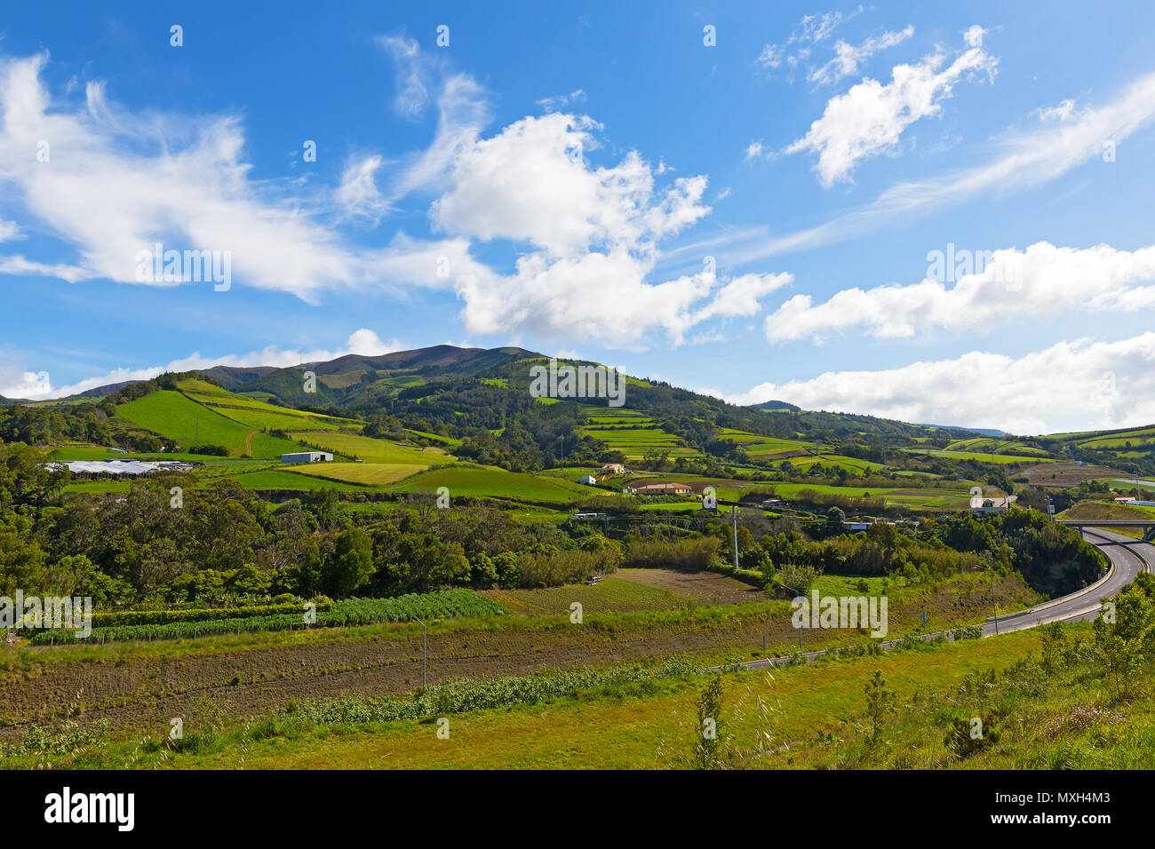 Le paysage pittoresque de l'île de São Miguel sur les Açores, Portugal. Collines avec vue panoramique, pâturages et forêts de la plus grande île volcanique sous Banque D'Images