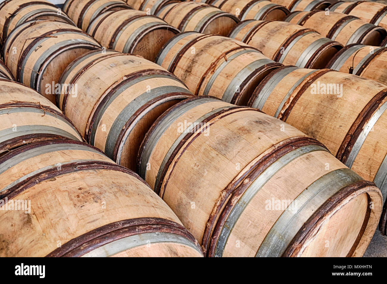 De nombreux fûts de bois sont en attente pour le vin dans une cave près de la ville de Chablis en France. Banque D'Images