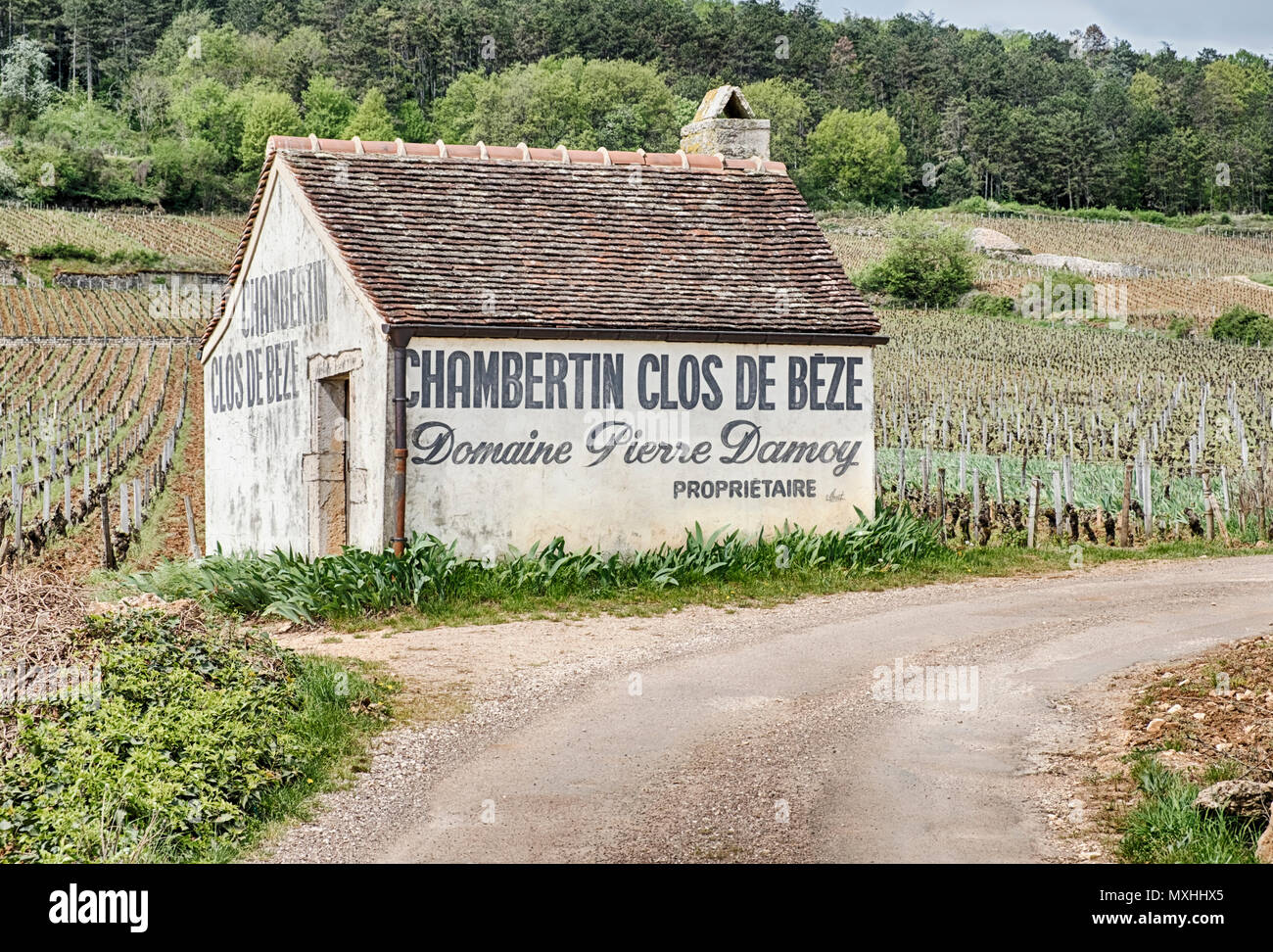 GEVREY-CHAMBERTIN, FRANCE - 23 avril 2018 : une petite grange ou dépendance agricole est situé sur le côté de la route dans le Clos de Bèze grand cru vineyard Banque D'Images