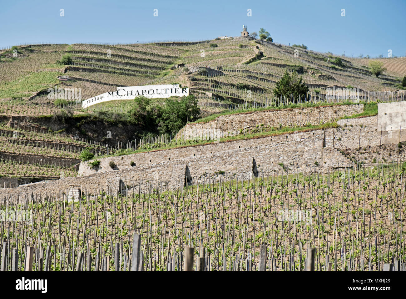 TAIN L'HERMITAGE, FRANCE - 25 avril 2018 : vignobles en terrasses mènent la colline derrière la ville de Tain L'Hermitage dans la vallée du Rhône. Banque D'Images