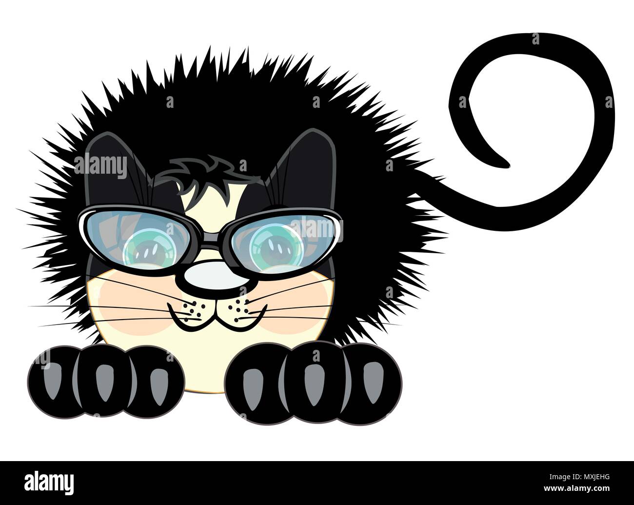 Chat Noir Ebouriffe Image Vectorielle Stock Alamy