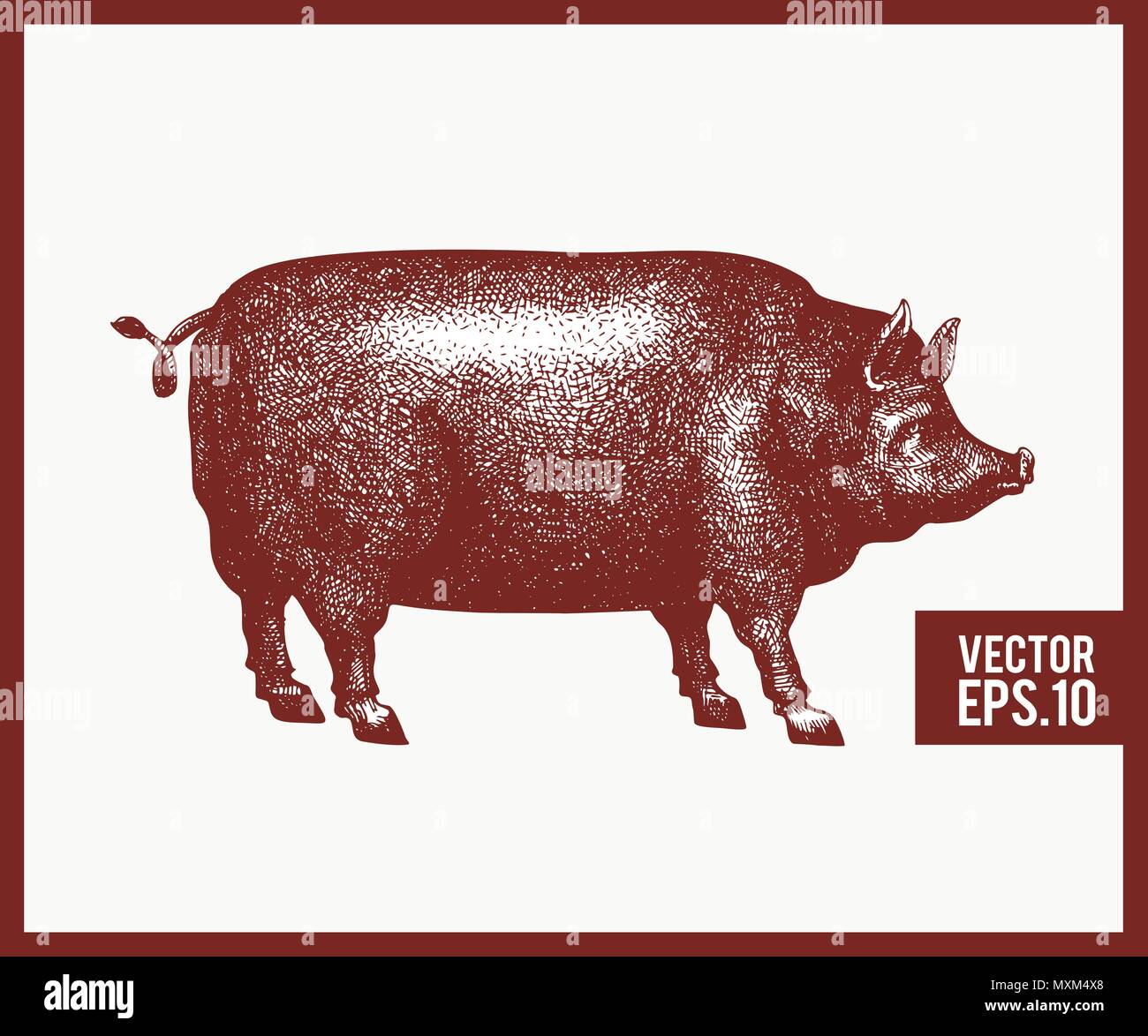 Vector illustration de cochon noir silhouette. Gravure rétro style. Croquis dessin des animaux de ferme. Illustration de Vecteur Vector illustration de cochon noir silhouette. Gravure rétro style. Croquis dessin des animaux de ferme. Illustration de Vecteur