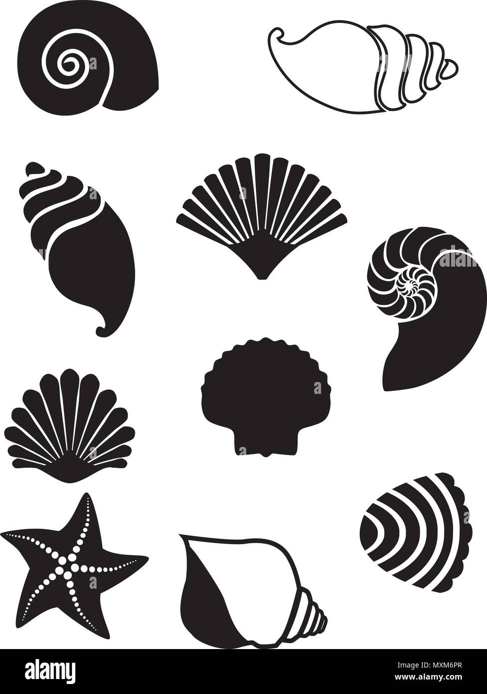 Illustration Vecteur de coquillages. Jeu de silhouettes coquillage isolé sur fond blanc Illustration de Vecteur