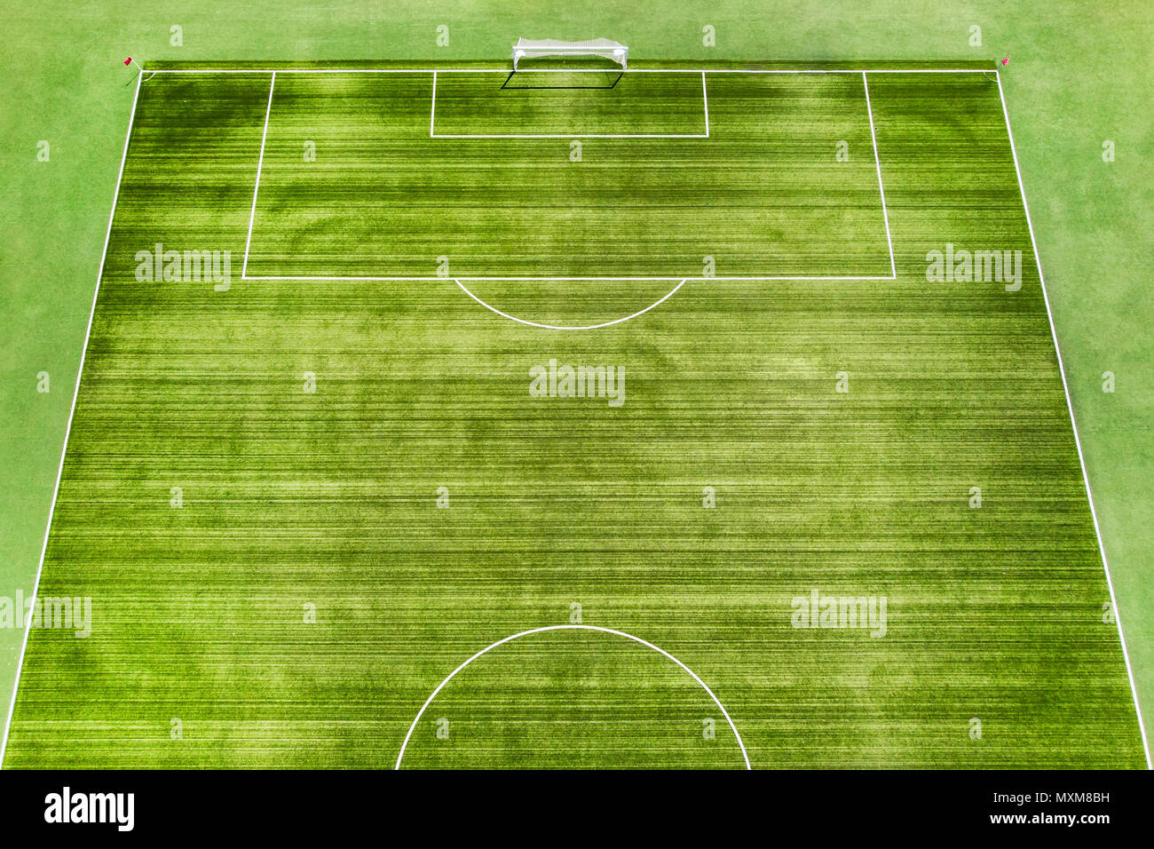 Un vrai terrain de football, terrain de football. L'herbe verte à rayures vert. pelouse. Marquage blanc sur l'herbe Banque D'Images