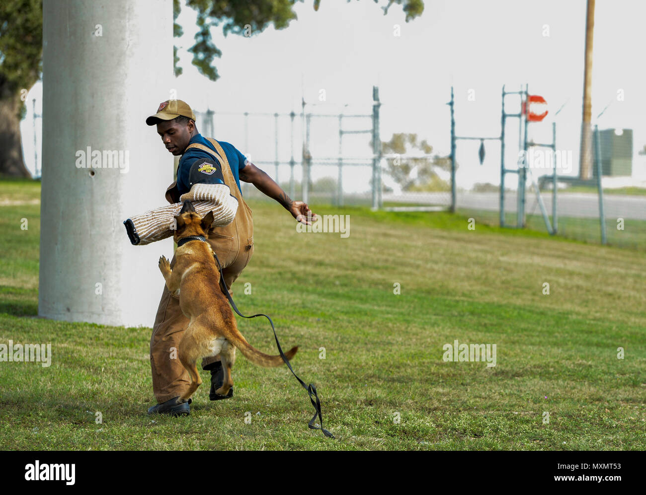Vanda, un chien de travail militaire stagiaire affecté à la 341e Escadron d'entraînement vers le bas et le pouvoir d'une morsure de chien de travail militaire au cours de la piqûre de la formation sur la partie exercices Joint Base San Antonio-Lackland, le 17 novembre 2016. Les 120 jours de cours forme et prépare les chiens sur diverses compétences pour être certifié comme l'arrestation, à la recherche des stupéfiants, de bombe et de dissuasion. Recherche (U.S. Photo de l'Armée de l'air par la Haute Airman Keith James) Banque D'Images
