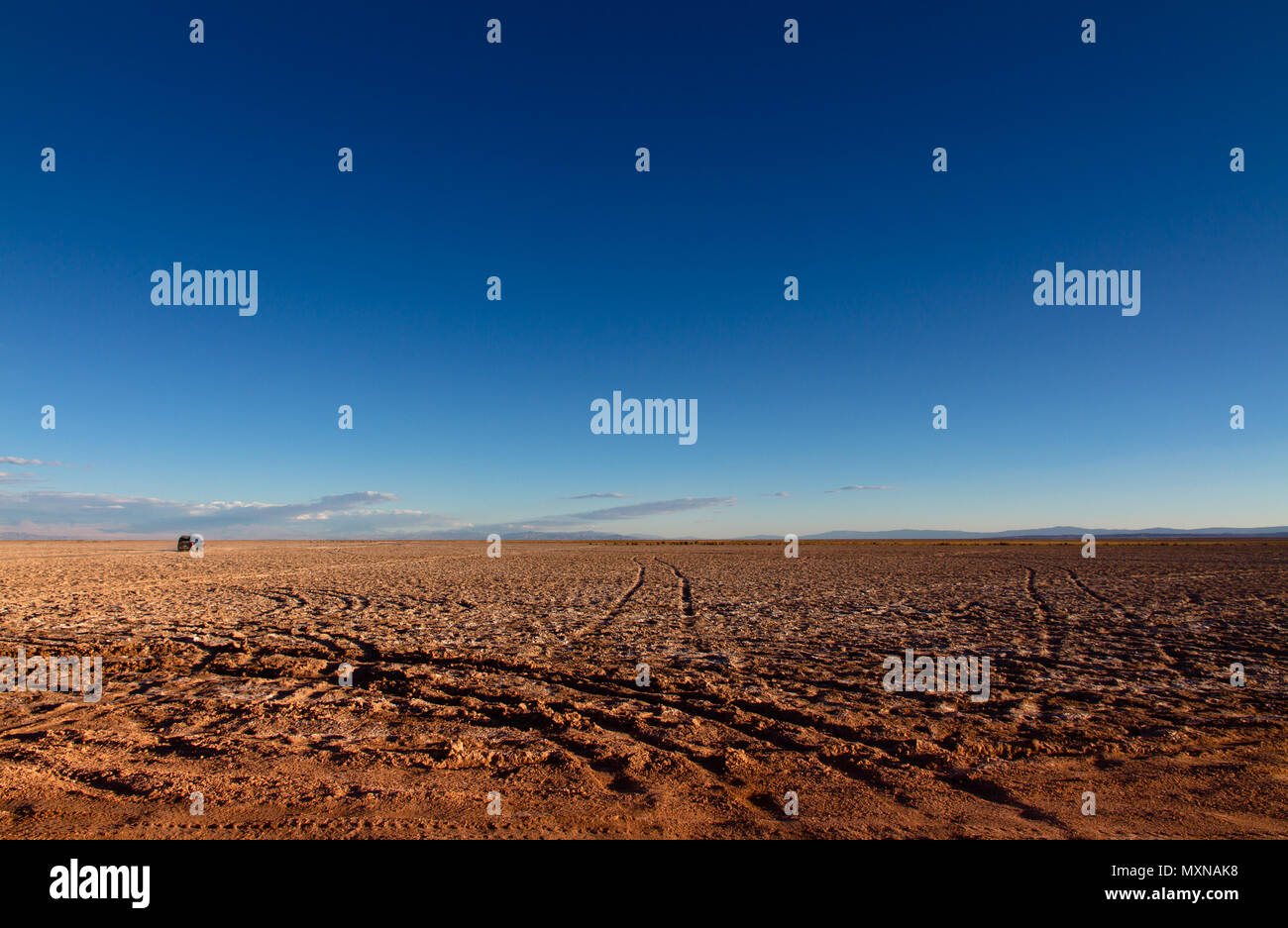 Paysage panoramique vue près de "Ojos del Salar" dans le désert d'Atacama, Chili, montrant les traces de pneus en contraste avec le désert et les dimensions immenses o Banque D'Images