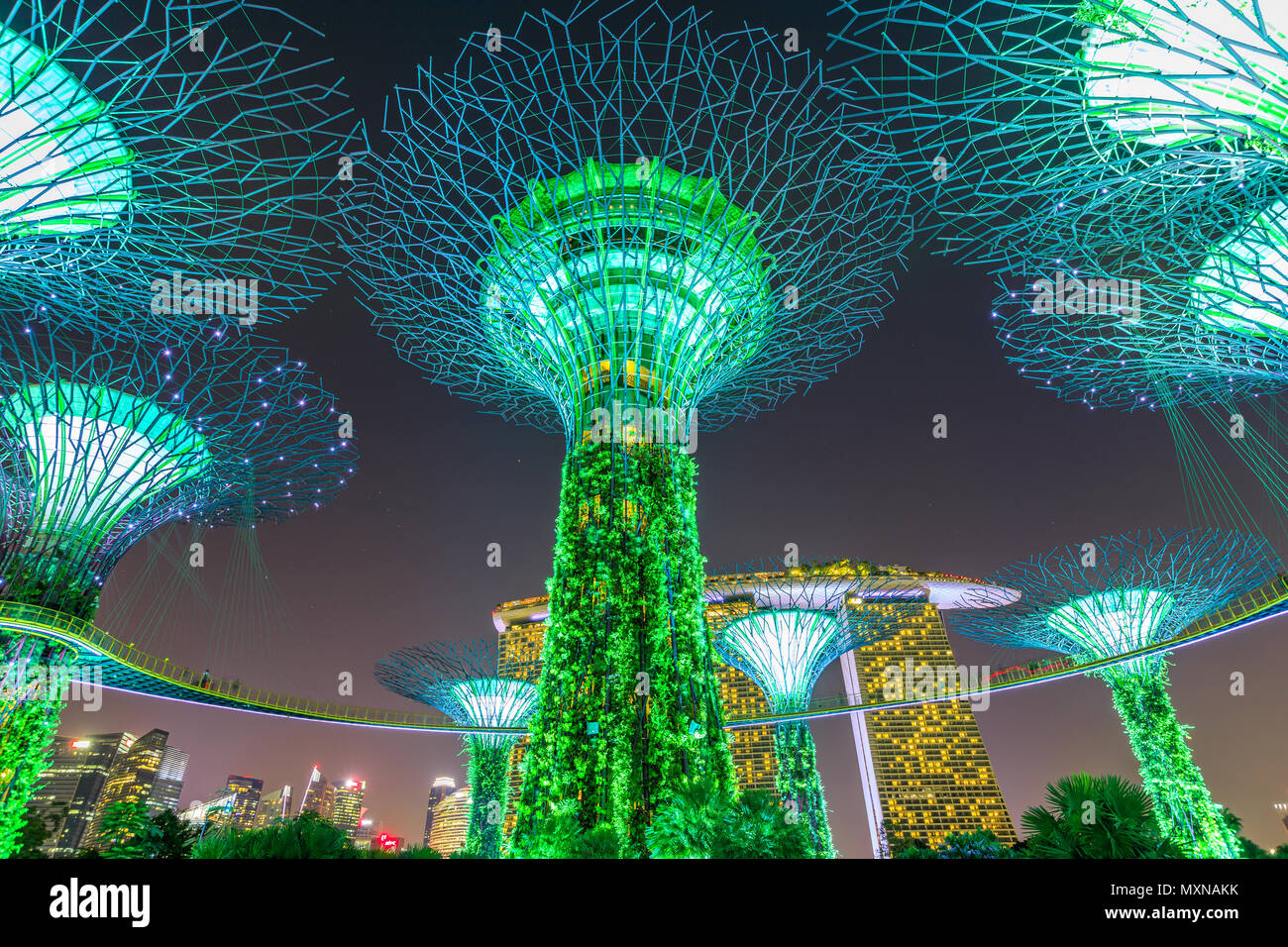 Singapour - 30 Avril 2018 : son et lumière montre Rhapsody sur Supertree Grove à l'OCBC Skyway dans les jardins de la baie. Marina Bay Sands sur l'arrière-plan. Attraction touristique populaire. L'éclairage vert. Banque D'Images