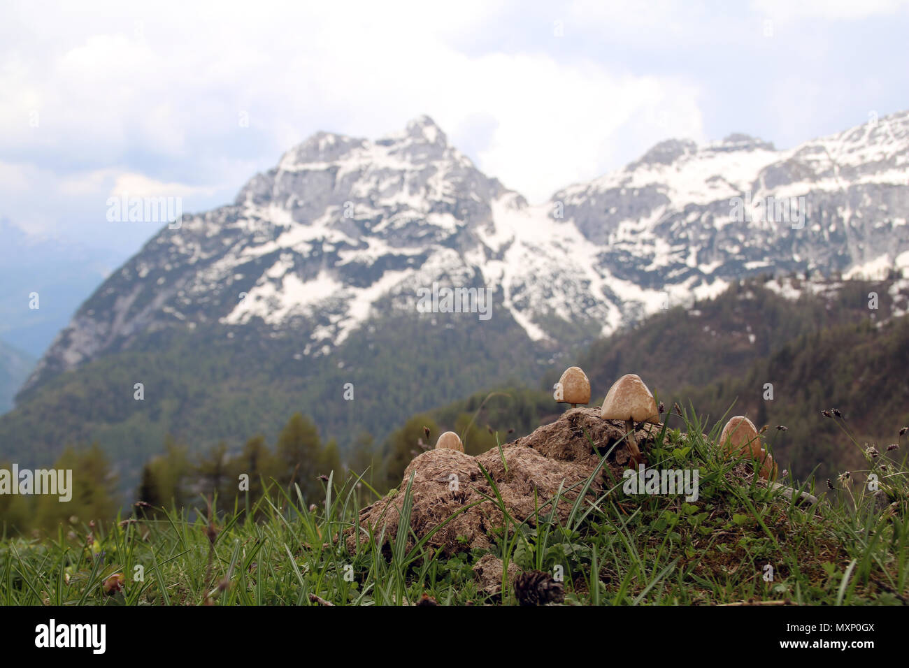 Vue d'un paysage de montagne dans les dolomites Banque D'Images