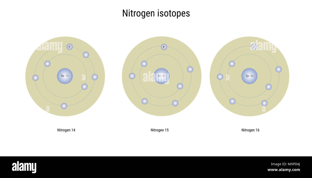 Les isotopes d'azote - structure atomique théorie physique des particules élémentaires Banque D'Images