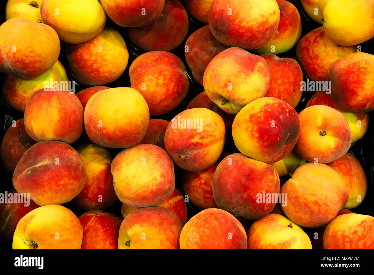 Les pêches jaunes et rouges frais (ou nectarines) (Prunus persica) sur un panier de fruits en vente en supermarché bio ou à l'épicerie au cours du printemps et de Somme Banque D'Images