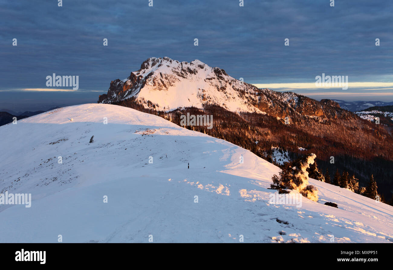 Nature Montagne sommet à l'hiver - la Slovaquie, panorama Banque D'Images