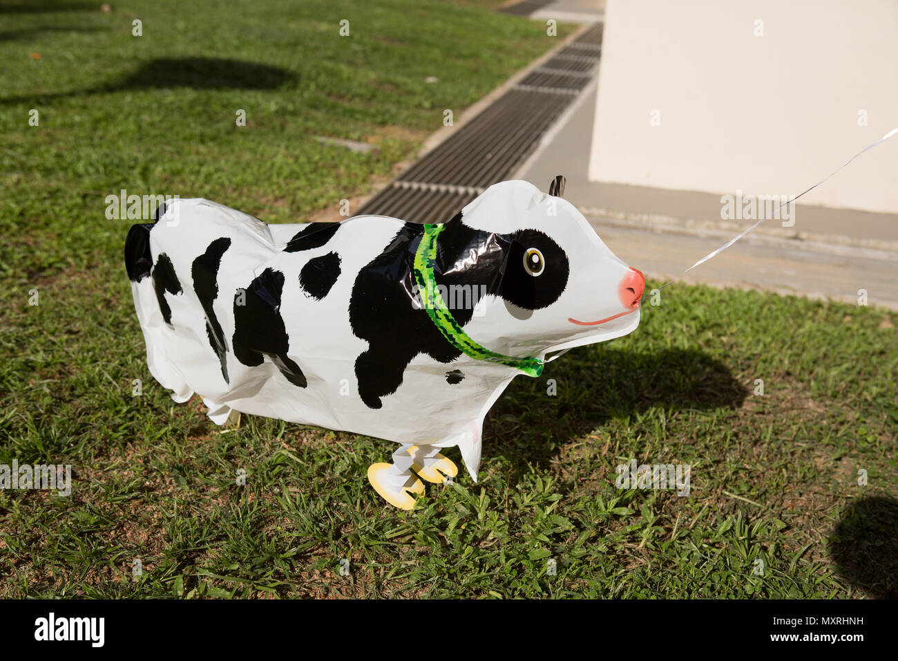 Ballon flottant d'une vache noire et blanche avec pattes Banque D'Images