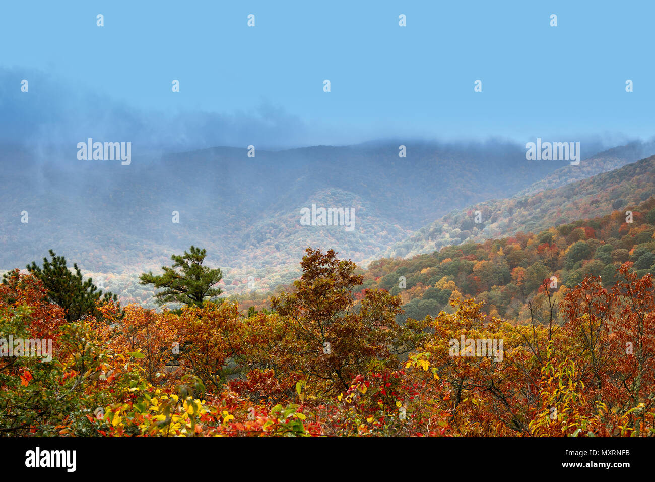 Blue Ridge Mountains à l'automne. Banque D'Images