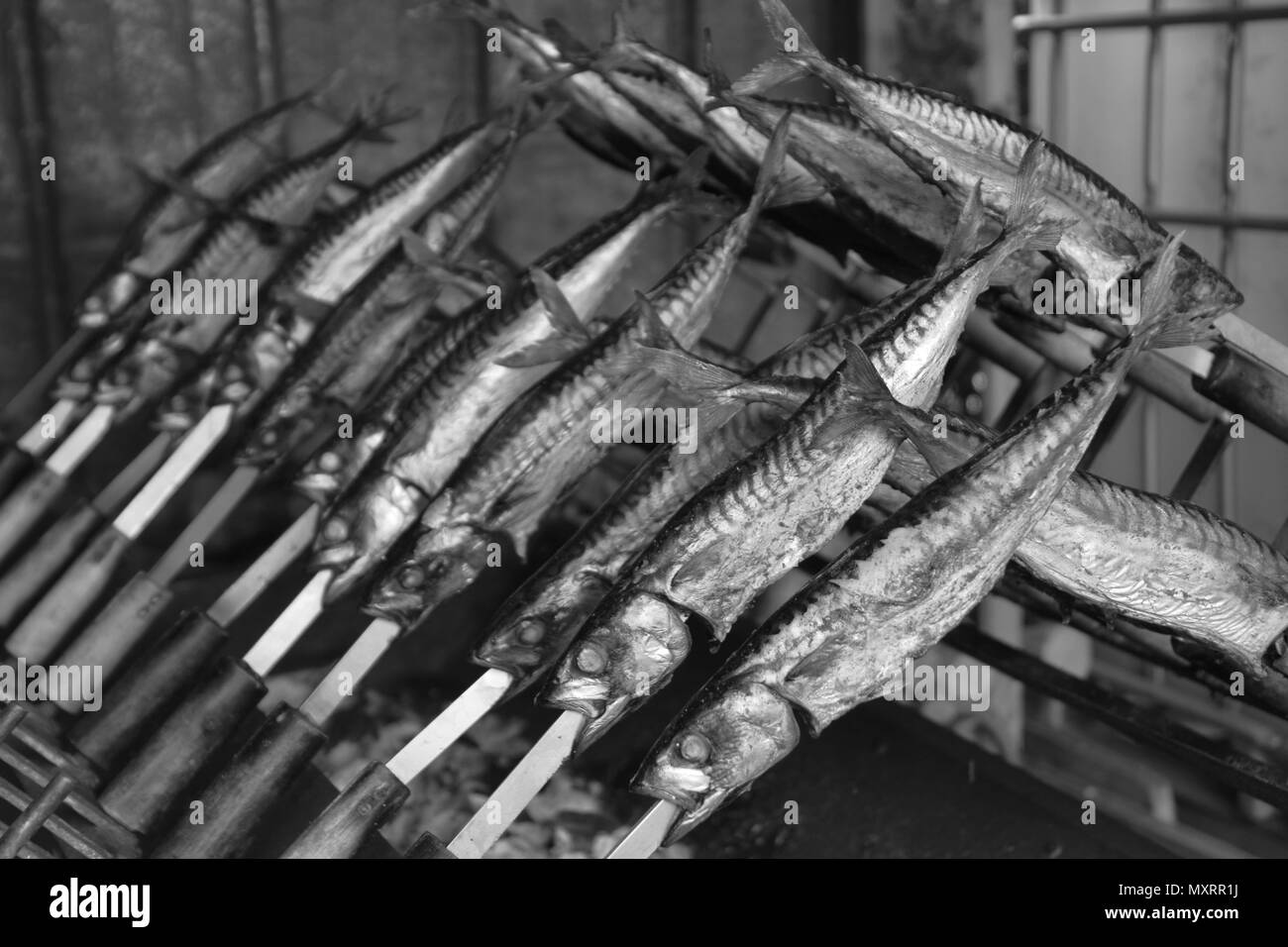 Noir et blanc maquereaux chatoyantes sur un barbecue Banque D'Images