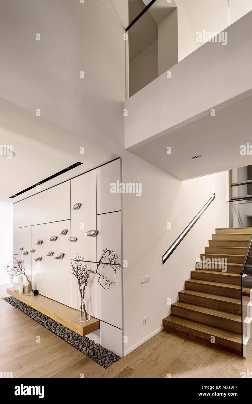 Intérieur moderne et lumineux, avec des murs blancs et un escalier avec barreaux en bois et une rampe en verre. Il y a un mur décoré de bois, oiseaux chrome Banque D'Images