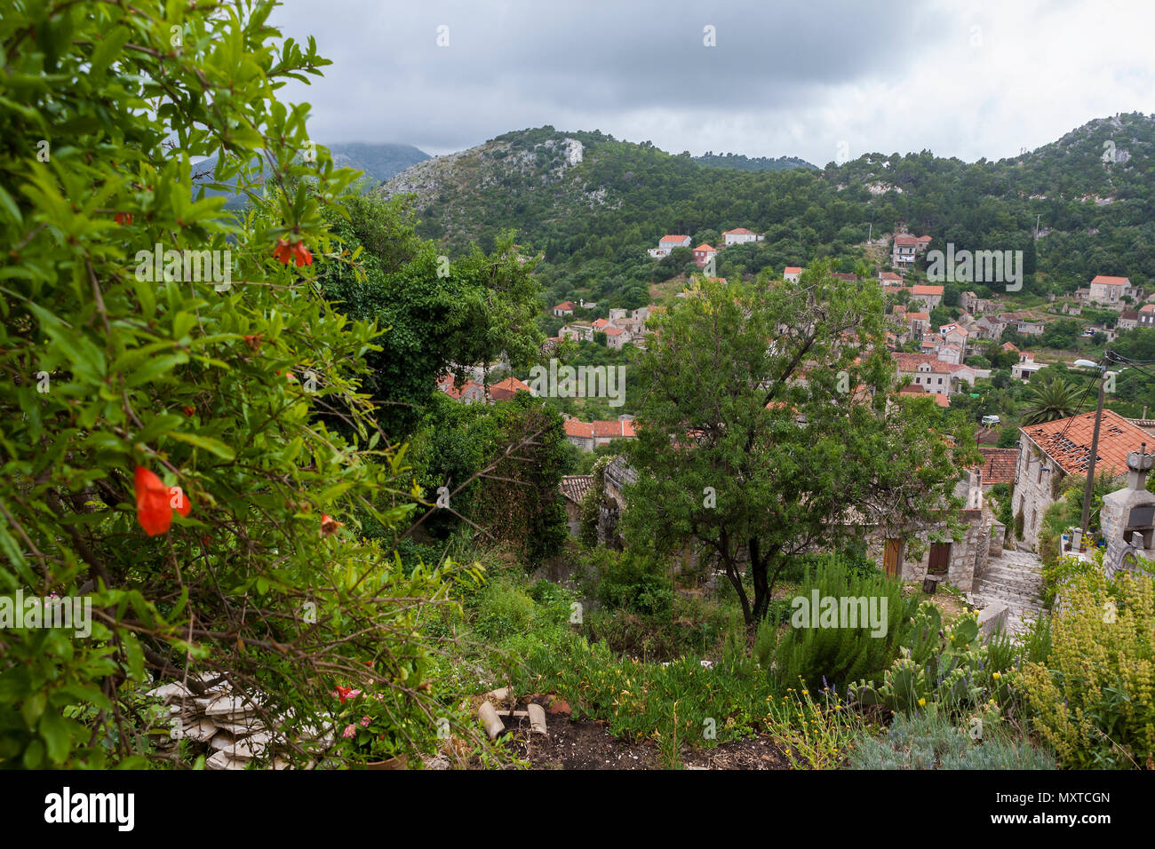 La ville de Lastovo sur l'île du même nom, Dubrovnik-Neretva County, Croatie Banque D'Images