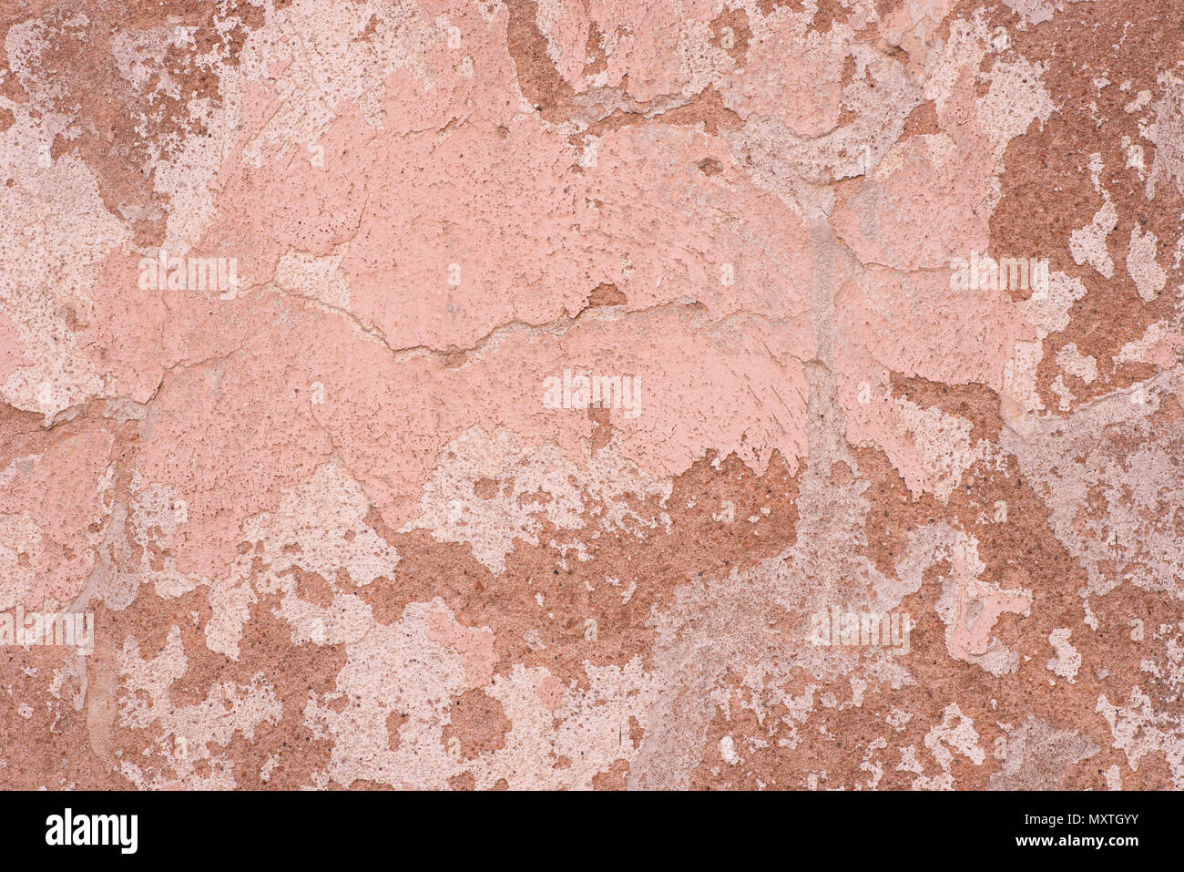 Couleur rose old weathered mur de plâtre, texture de fond Banque D'Images