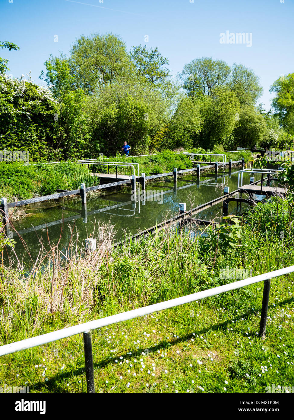 Monkey Marsh Lock l'un des deux côtés de la rivière, serrures Gazon Kennett, monument antique, Thatcham, Newbury, Berkshire, Royaume-Uni, Angleterre, RU, FR. Banque D'Images