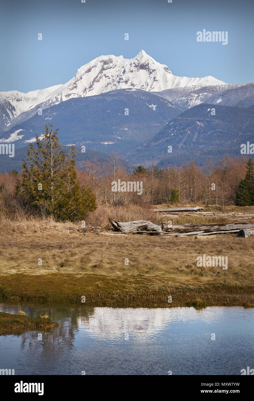 L'estuaire de Squamish, en Colombie-Britannique et la vue sur le nord de l'embouchure de l'Estuaire de la rivière Squamish. Banque D'Images