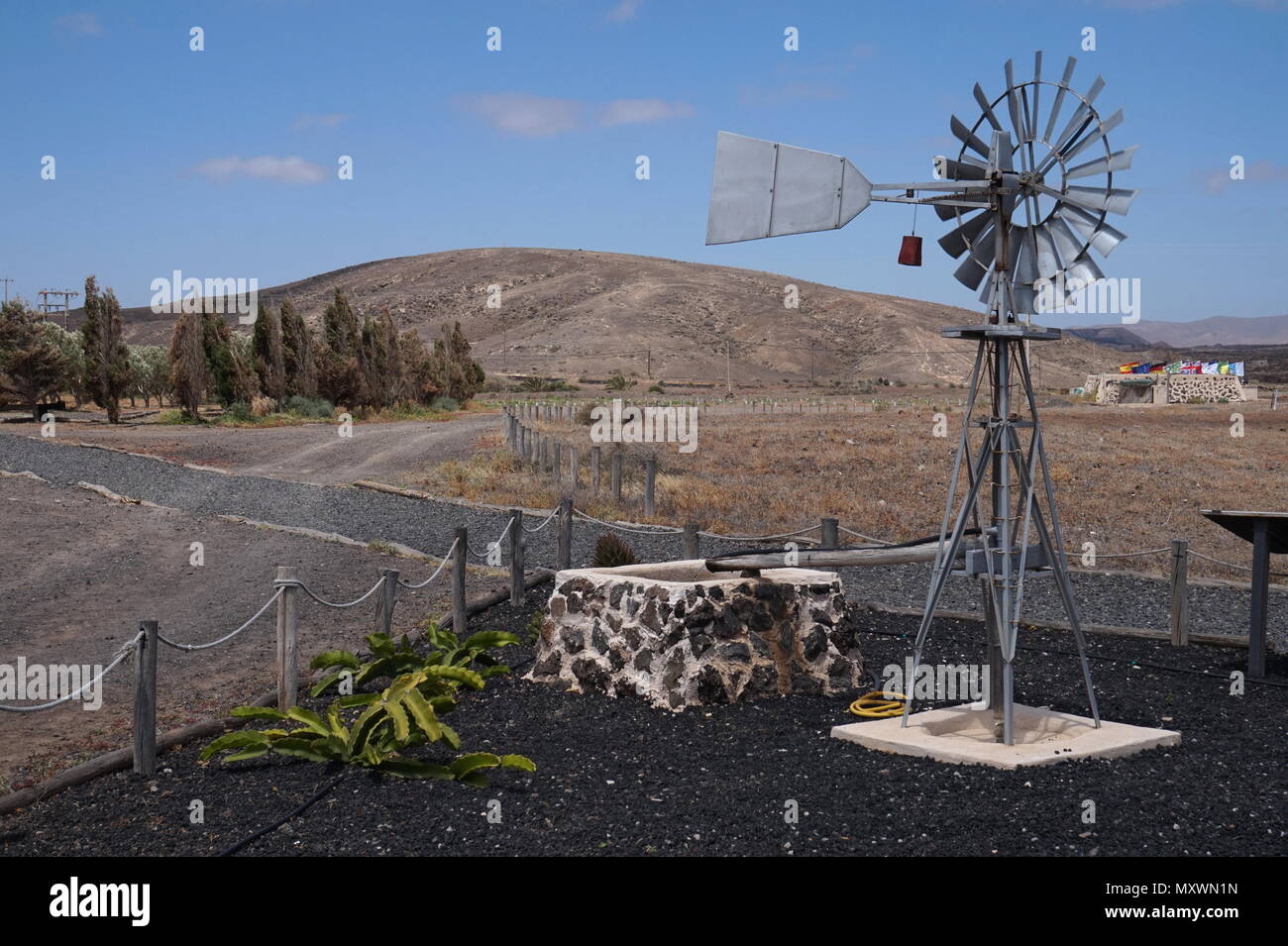 Une éolienne pompe a eau sur une ferme oléicole, Fuerteventura, Espagne Banque D'Images