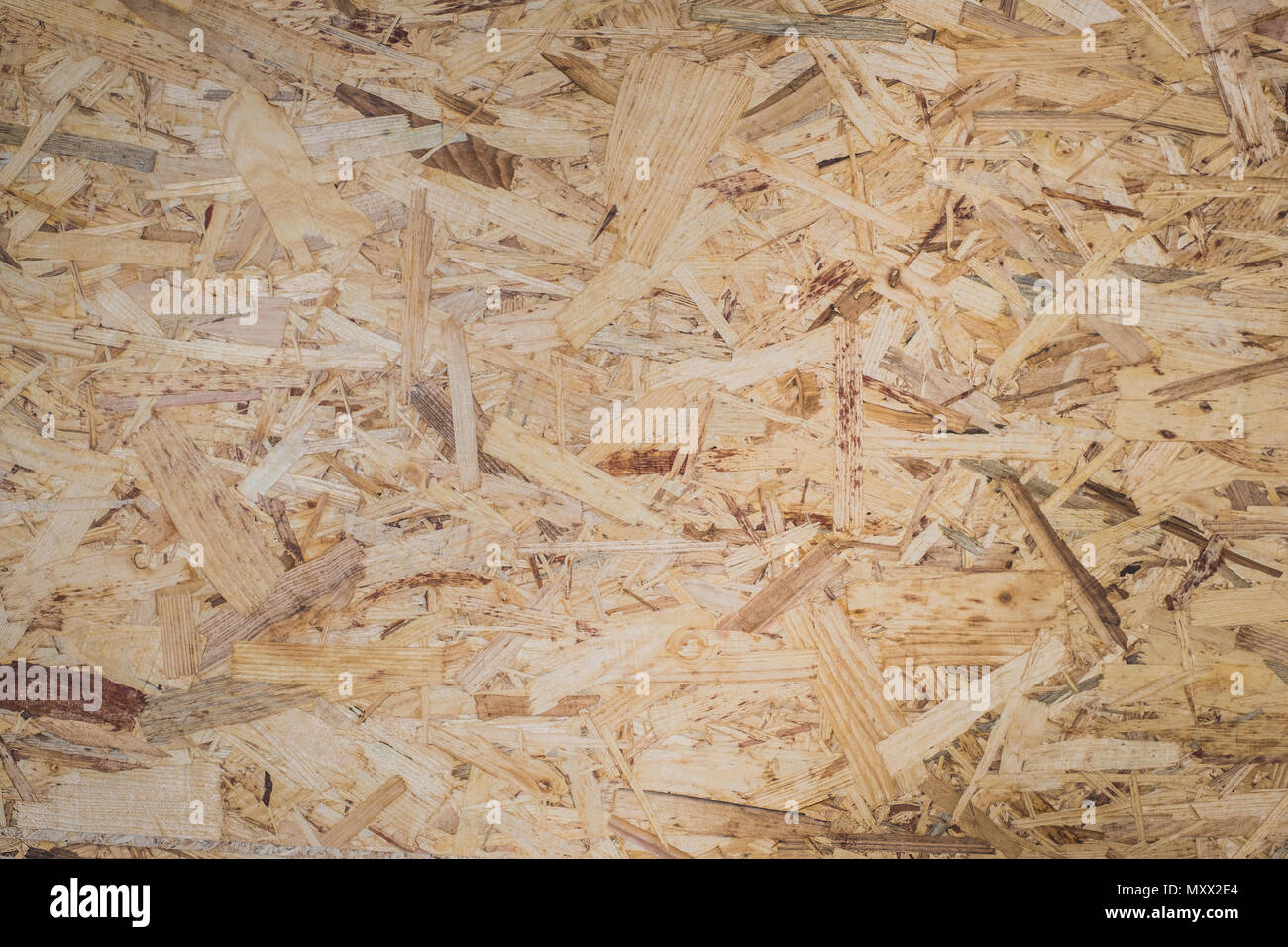 La texture d'aggloméré, contreplaqué panneau OSB - gros plan Banque D'Images