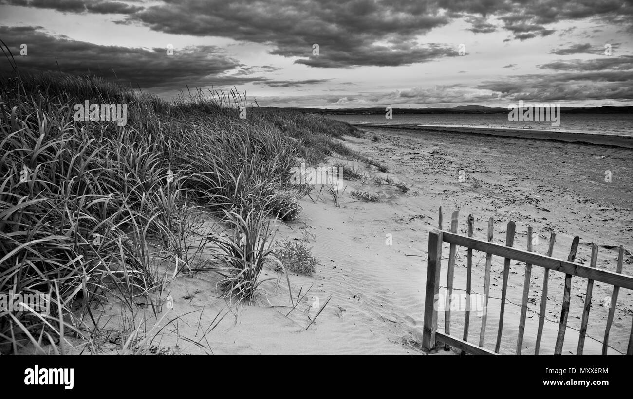 Dunes de sable dans le temps orageux, herbes soufflantes de vent et une clôture en bois. Paysage, vue horizontale de la plage écossaise en hiver. Monochrome, Écosse, Banque D'Images